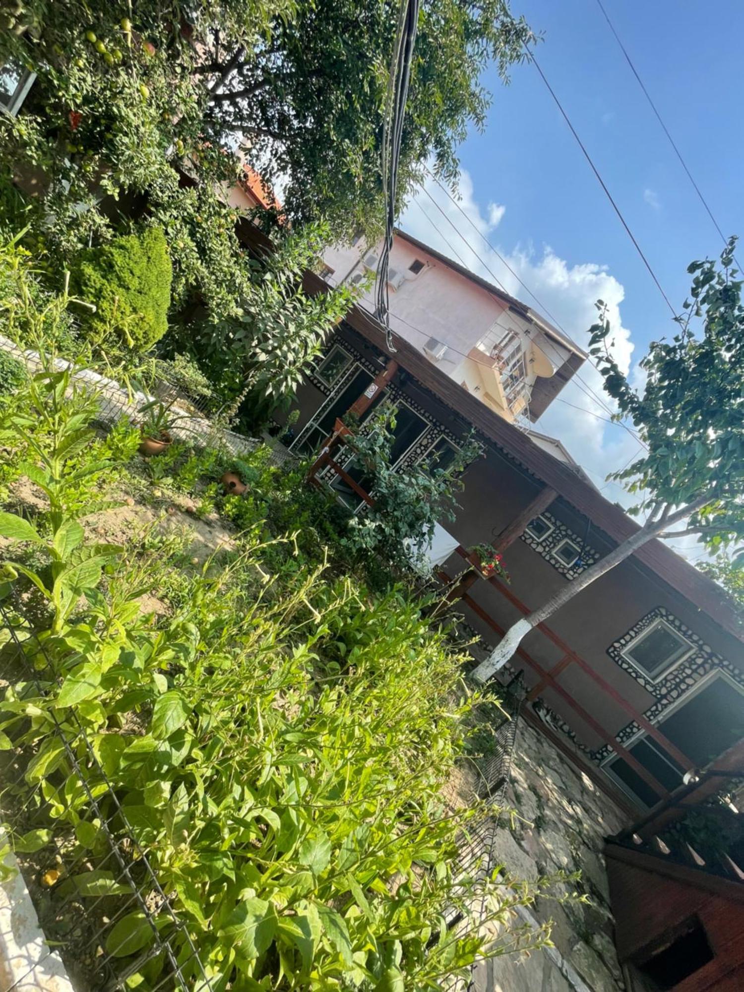 Casa Yachi Vama Veche Ξενοδοχείο Εξωτερικό φωτογραφία