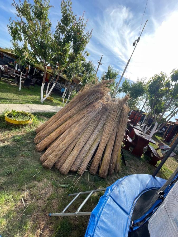 Casa Yachi Vama Veche Ξενοδοχείο Εξωτερικό φωτογραφία