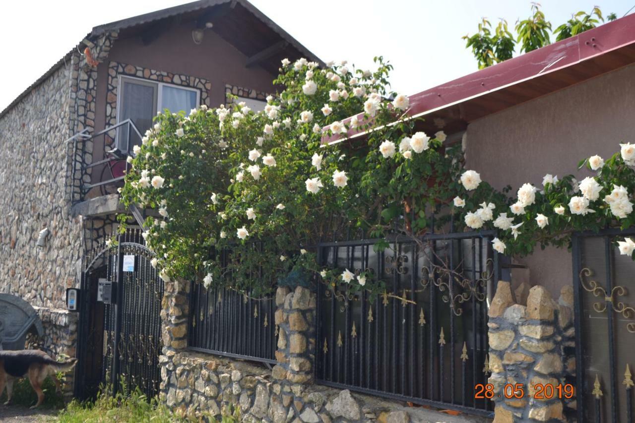 Casa Yachi Vama Veche Ξενοδοχείο Εξωτερικό φωτογραφία